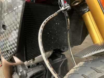 Indian FTR1200 2025
