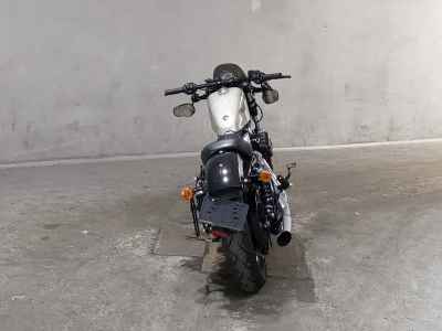 Harley-Davidson Sportster Forty-Eight XL1200X 2018
