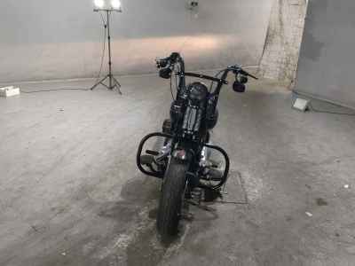 Harley-Davidson Cross Bones FLSTSB1580 2010