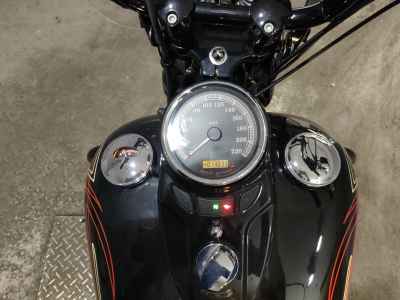 Harley-Davidson Cross Bones FLSTSB1580 2010