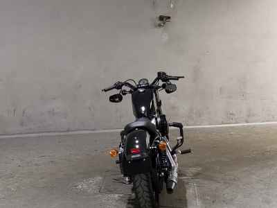 Harley-Davidson Sportster Forty-Eight XL1200X 2020