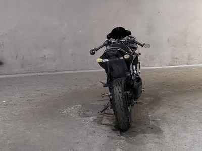 Kawasaki Ninja 250R