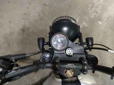 Mutt Akita 250 2020