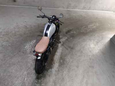 Mutt Akita 250 2020