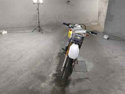 Suzuki DR250R