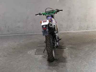 Suzuki DR250R