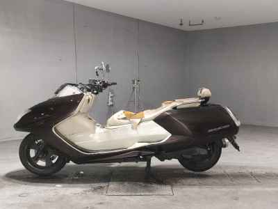 Yamaha Maxam 250