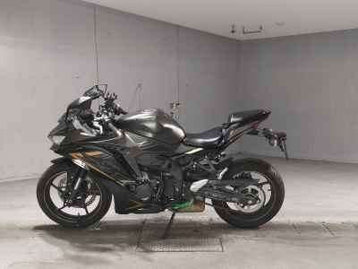 Kawasaki Ninja ZX-25R