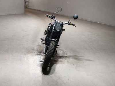 Mutt Mastiff 250 2019