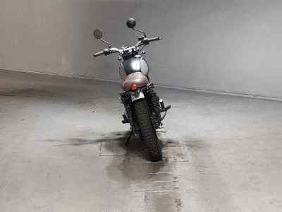 Mutt Mastiff 250 2019