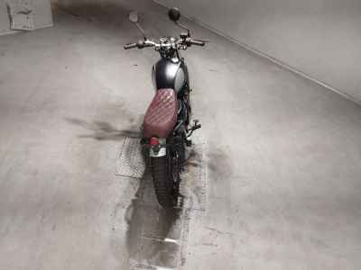 Mutt Mastiff 250 2019