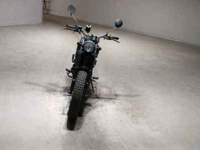 Mutt Sabbath 250 2022