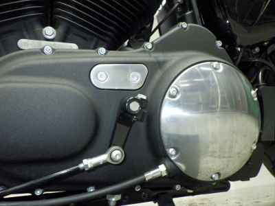 Harley-Davidson Sportster Forty-Eight XL1200X 2020