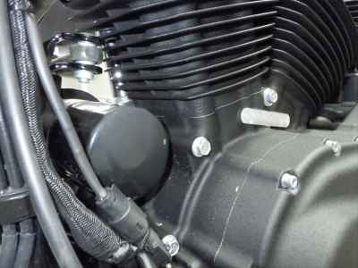 Harley-Davidson Sportster Forty-Eight XL1200X 2020