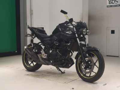 Yamaha MT-25 2016