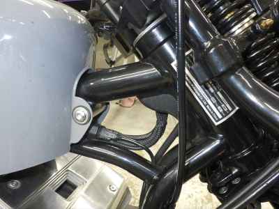 Thunder Softail 250 2025
