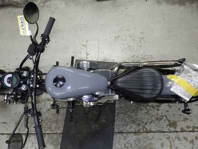 Thunder Softail 250 2025