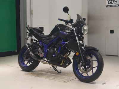 Yamaha MT-25 2016