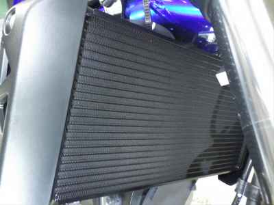 Suzuki SV650 2026