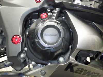 Kawasaki Ninja 1000 2017