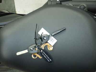 Honda Rebel CMX1100 2024