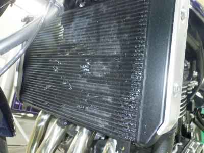Kawasaki Z900RS 2023
