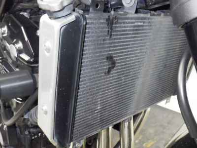 Kawasaki Z900RS 2021