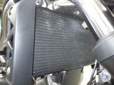 Suzuki SV650 2024