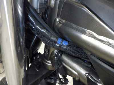Suzuki SV650 2024