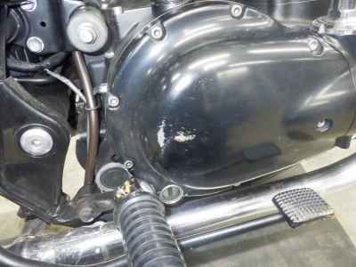 Kawasaki W800 2022