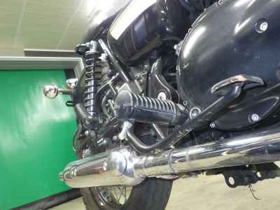 Kawasaki W800 2022