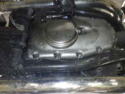 Kawasaki W800 2022