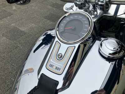 Harley-Davidson FLSTFI 2025