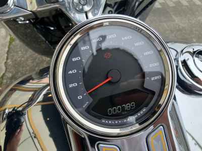 Harley-Davidson FLSTFI 2025