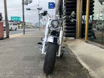 Harley-Davidson FLSTFI 2025