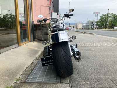Harley-Davidson FLSTFI 2025