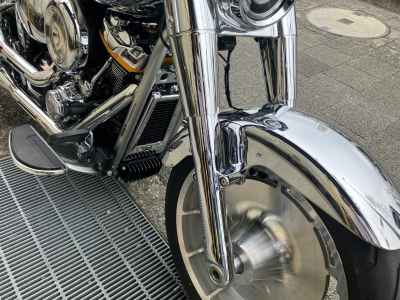 Harley-Davidson FLSTFI 2025
