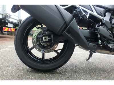 Suzuki V-Strom 800 2024