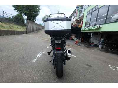 Suzuki V-Strom 800 2024