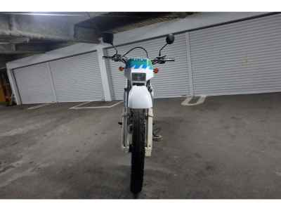 Suzuki DR250S