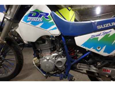 Suzuki DR250S
