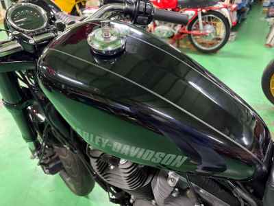 Harley-Davidson Roadster XL1200CX 2018