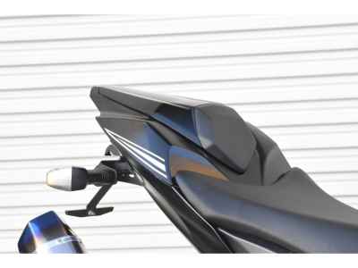 Kawasaki Ninja ZX-10RR 2019
