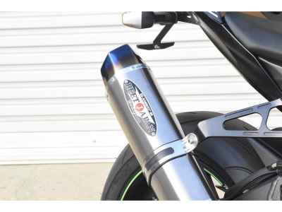 Kawasaki Ninja ZX-10RR 2019