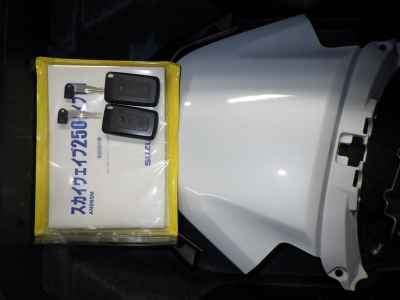 Suzuki Skywave 250M