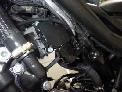Honda Rebel CMX250 2019