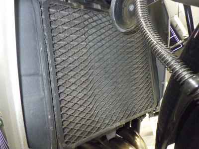 Kawasaki Balius ZR250