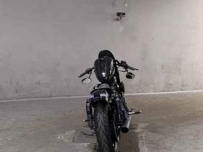Harley-Davidson Roadster XL1200CX 2016