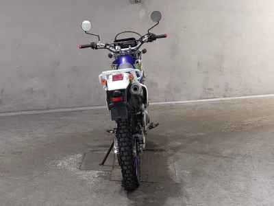 Suzuki Djebel 250XC