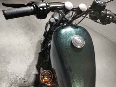 Harley-Davidson Sportster Iron XL883N 2018